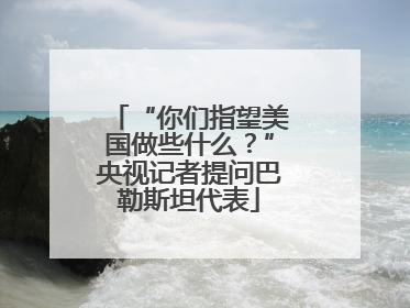 “你们指望美国做些什么？”央视记者提问巴勒斯坦代表